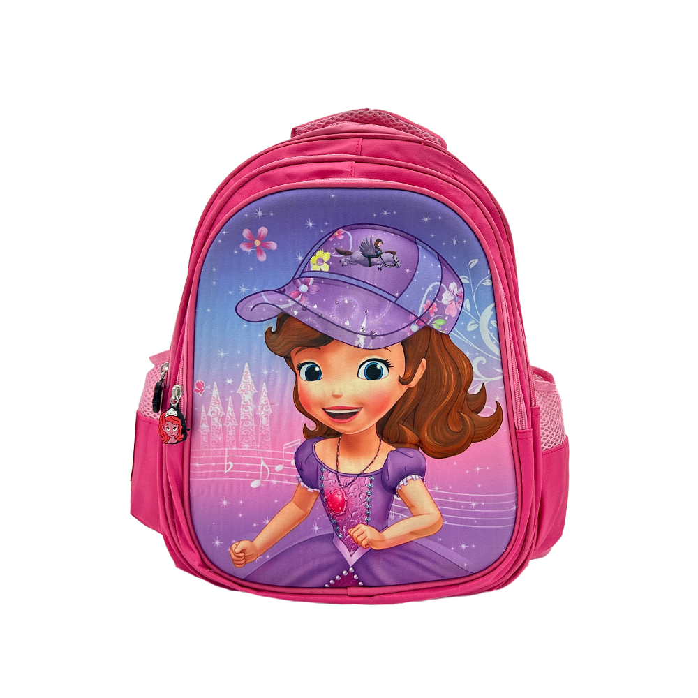 Disney Big Bag