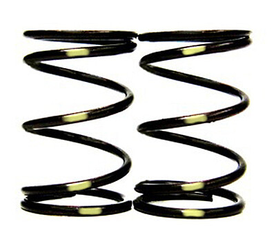 VALVE SPRING SINGLE VALVE SPRING SINGLE