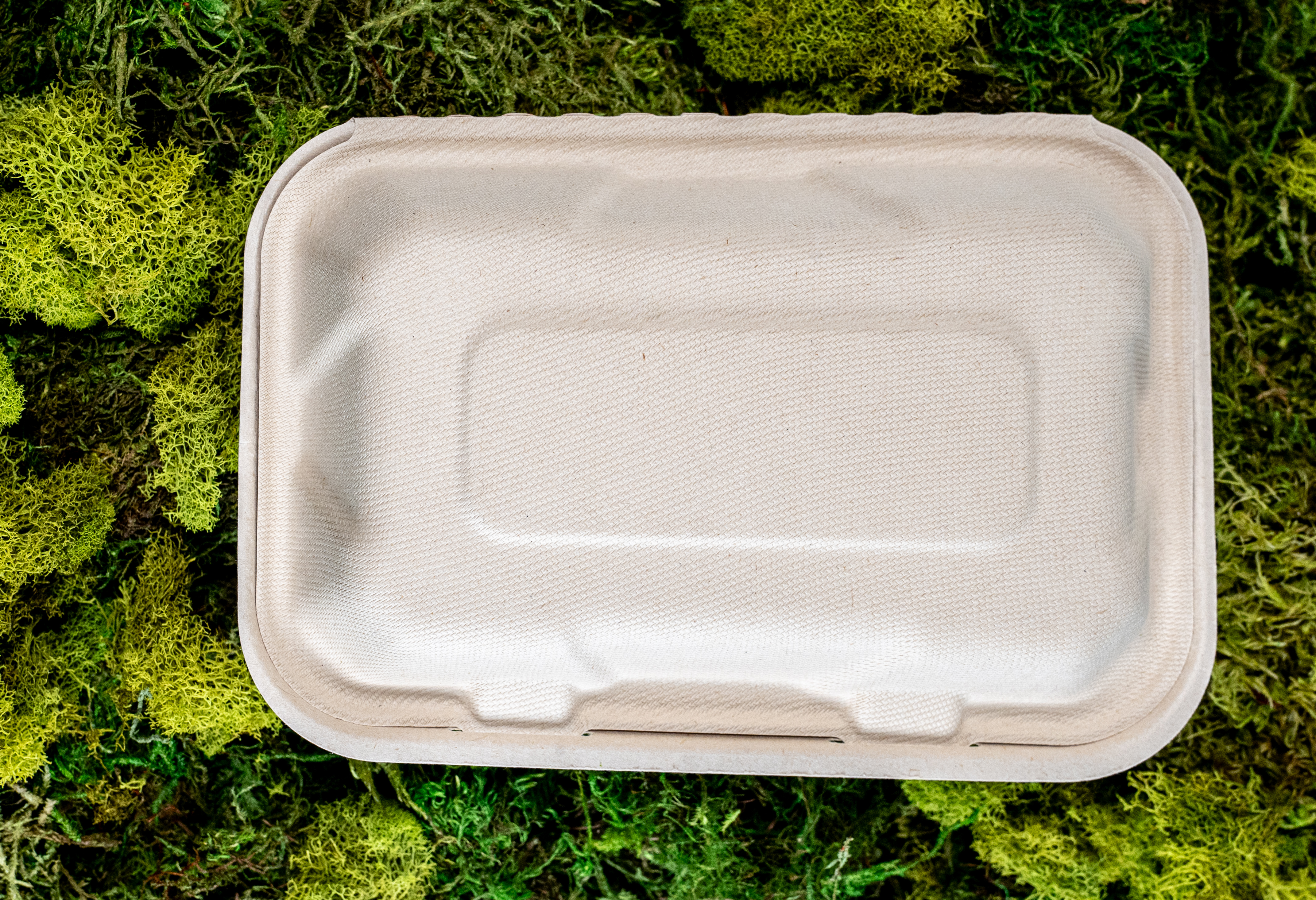 Clamshell 9"x6" - 200 Clamshell 9"x6" - 200