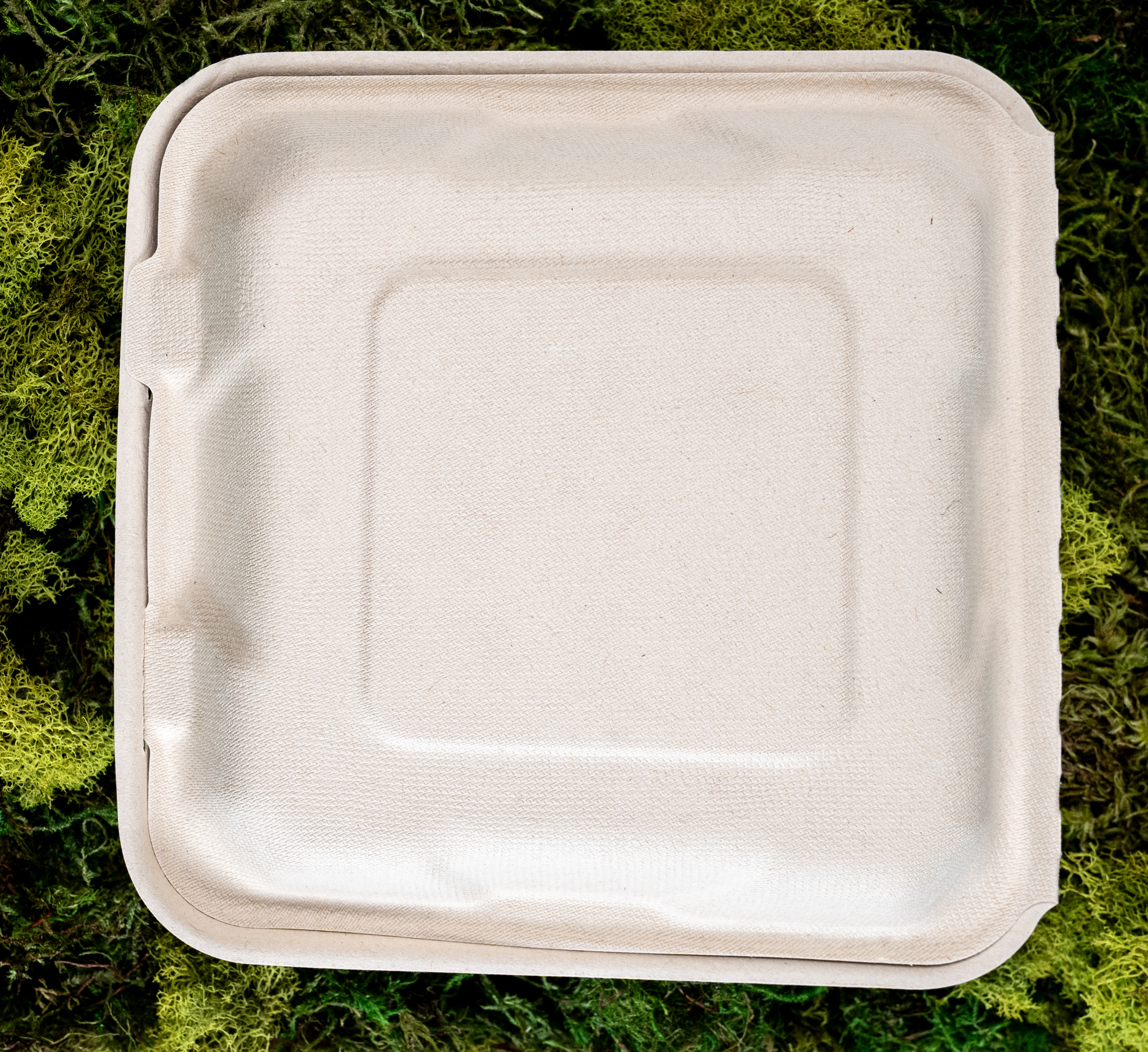 Clamshell 8" - 200 Clamshell 8" - 200