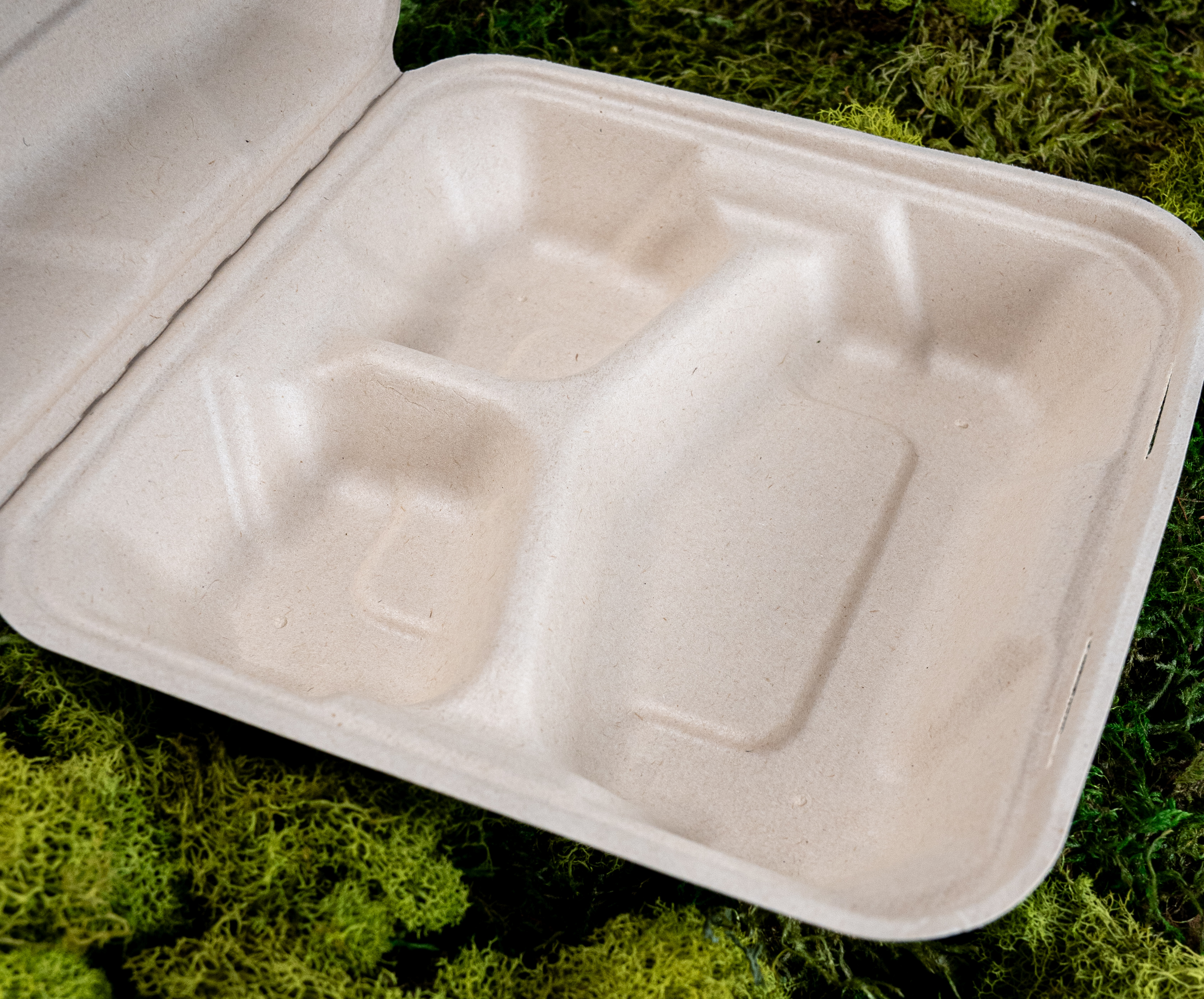 3 -Compartment Clamshell 3 -Compartment Clamshell