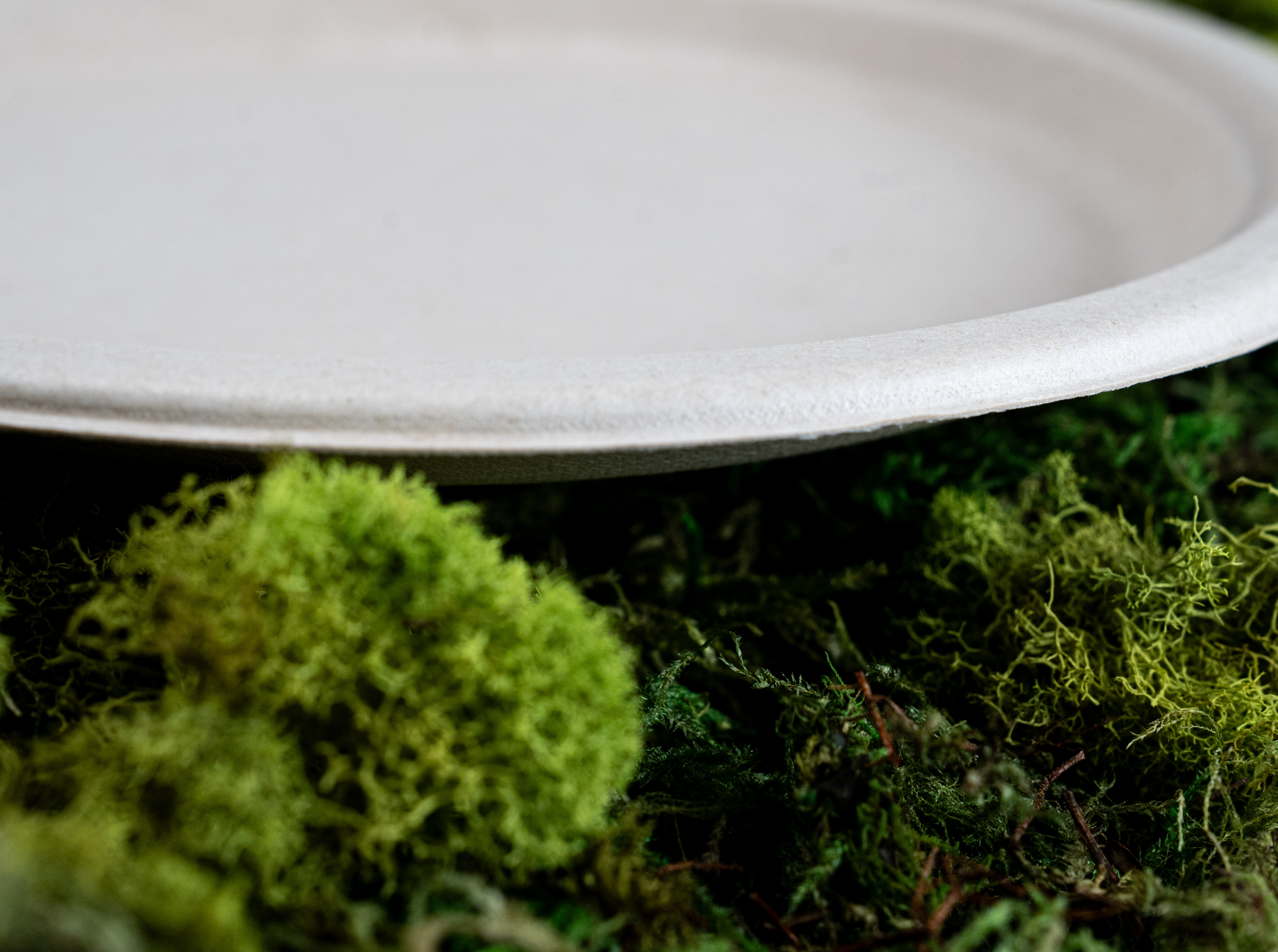 Round Plate: 400 Ct Case Round Plate: 400 Ct Case