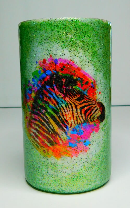 Vibrant Zebra Vibrant Zebra