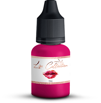 KIT LIPS COLLECTION WITH 4 PREMIUM PIGMENTS KIT LIPS COLLECTION WITH 4 PREMIUM PIGMENTS