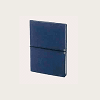 Brown Diary BB23