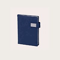 Brown Diary BB38