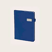 Red Diary BB46
