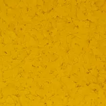Dark Yellow Chips