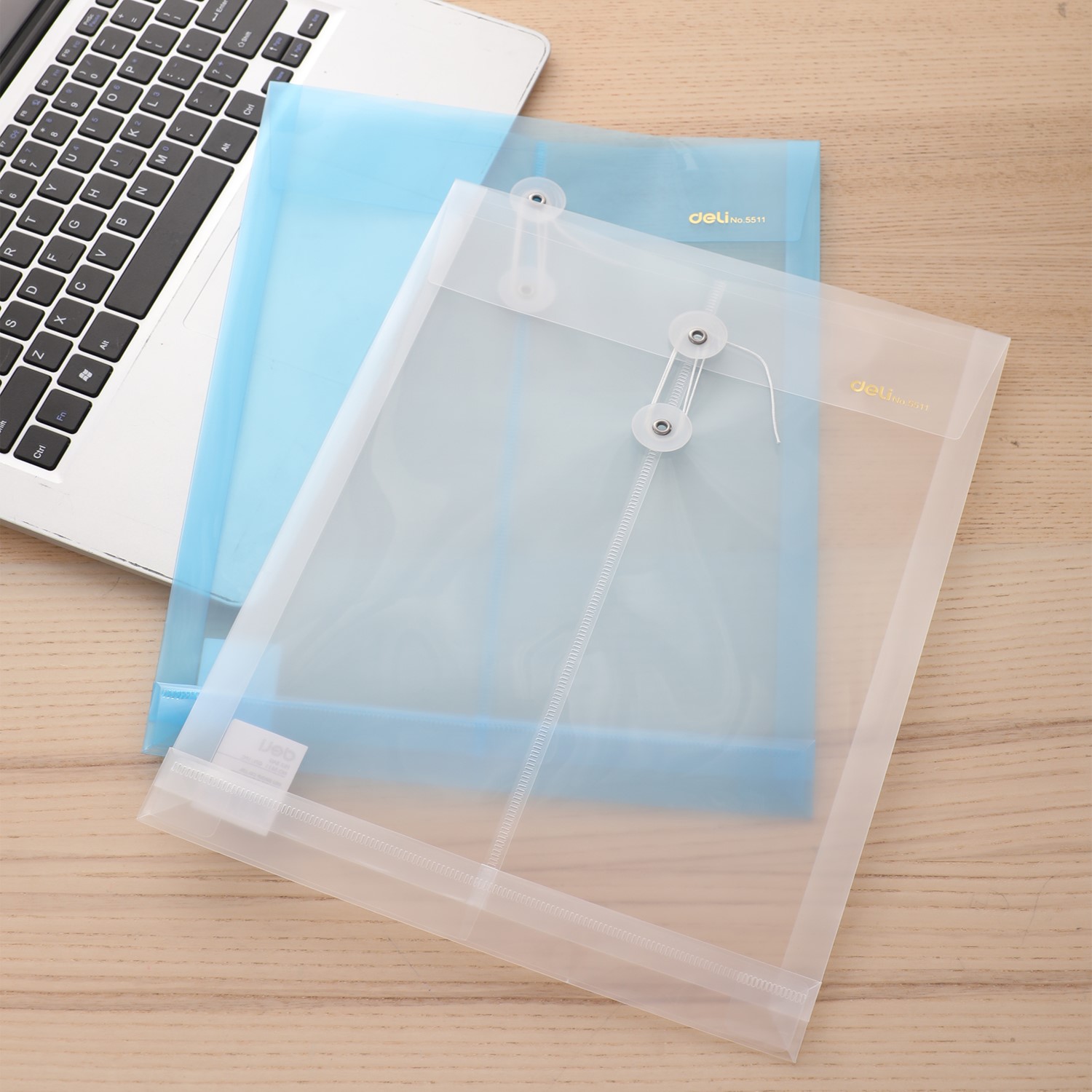 DELI E5511 A4 FILE BAG WITH STRING CLOSURE - CLEAR DELI E5511 A4 FILE BAG WITH STRING CLOSURE - CLEAR