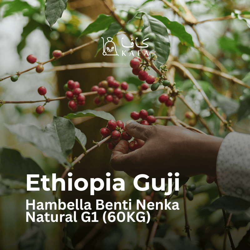 Ethiopia Guji Hambella Benti Nenka Natural G1 (60KG) - E240061