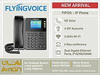 FIP13G