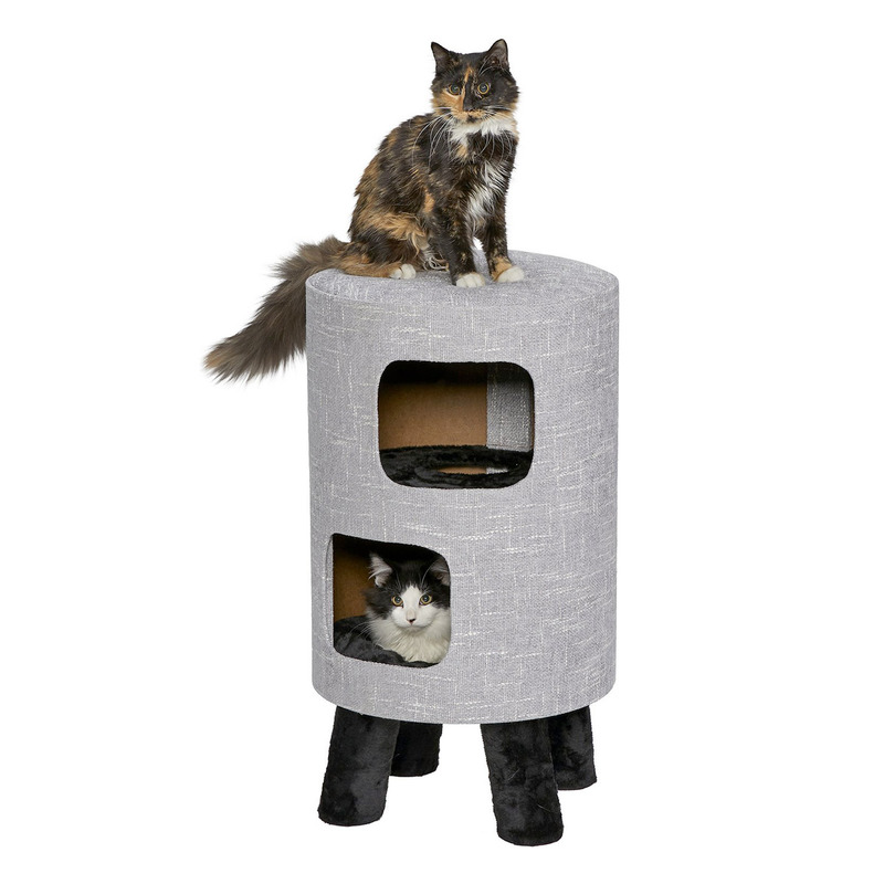 Feline Nuvo Cosmo for Cat Feline Nuvo Cosmo for Cat