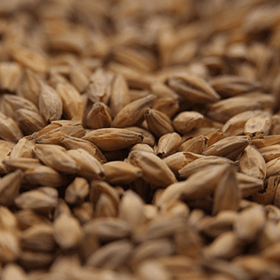 Honey Malt - Gambrinus
