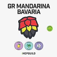 GR Mandarina Bavaria GR Mandarina Bavaria