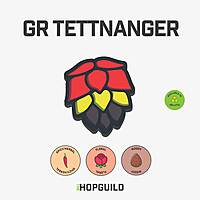 GR Tettnanger GR Tettnanger