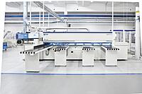 Gabbiani P60