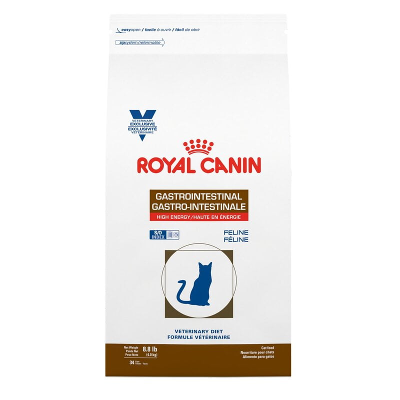alimento para gato royal canin alimento para gato royal canin