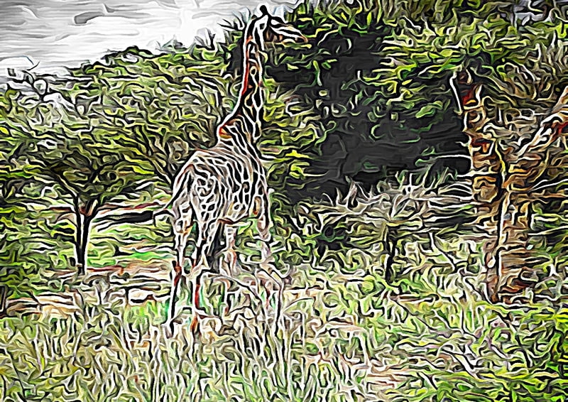 Giraffe Away Giraffe Away