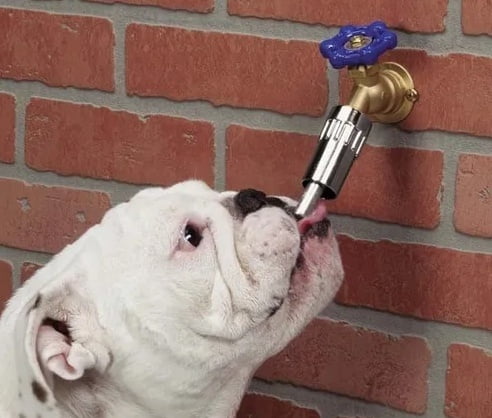 Bebedero Automatico Para Llave De Agua Para Mascotas Bebedero Automatico Para Llave De Agua Para Mascotas