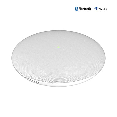 Grandstream 1-Way Paging Speaker GSC3505
