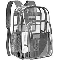 Gray Transparent Backpack Gray Transparent Backpack