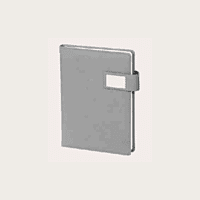 Brown Diary BB38
