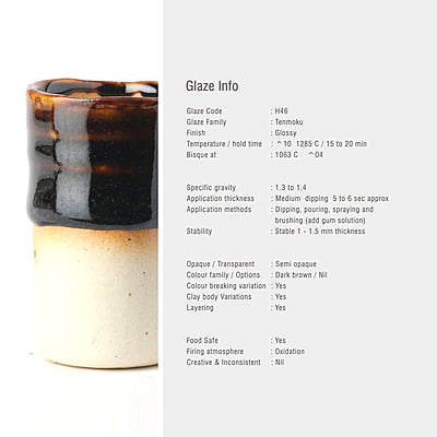 Sara High Fire Tenmoku Brown H46 Sara High Fire Tenmoku Brown H46