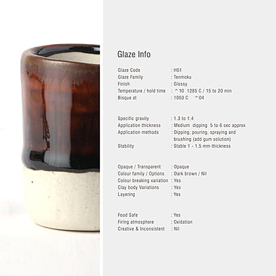 Sara High Fire Tenmoku Amber H61 Sara High Fire Tenmoku Amber H61