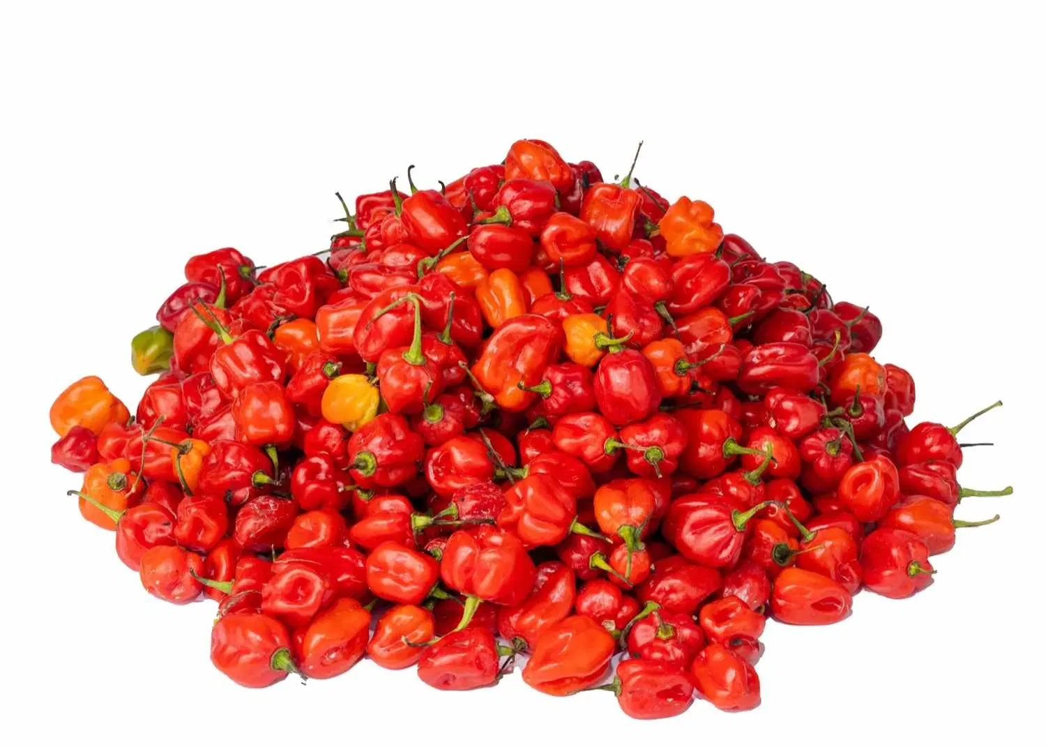 Habanero Red