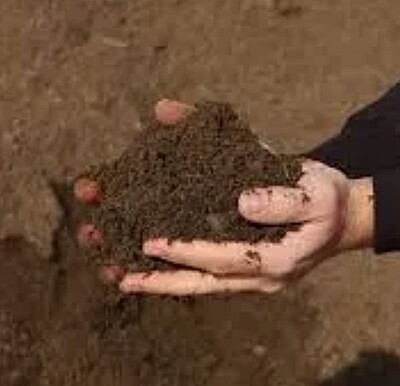 Bag of Top Soil & Compost