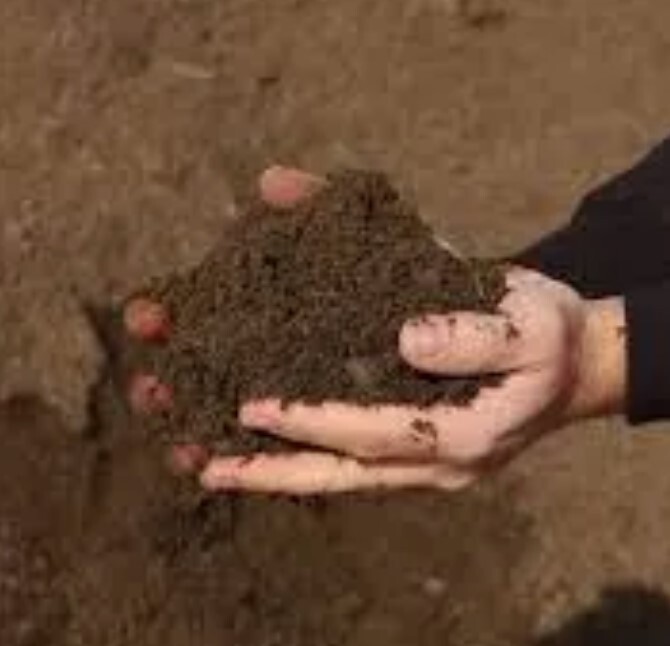 Bag of Top Soil & Compost Bag of Top Soil & Compost