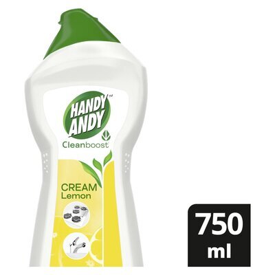 HANDY ANDY EUCALYPTUS 750ML
