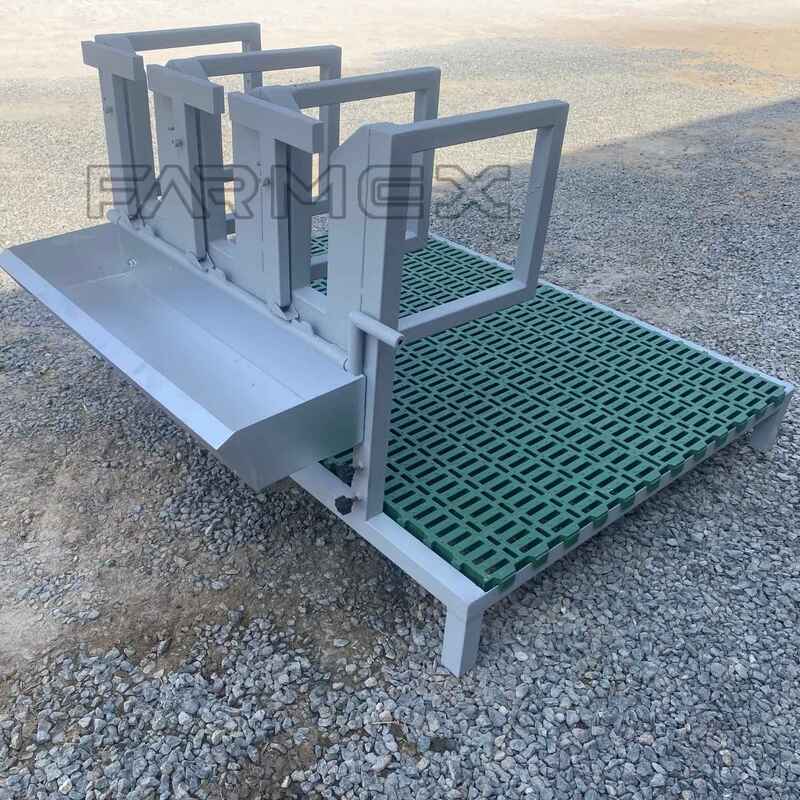 Headlock for Goat Sheep 3U with Base-Painted Metal Steel