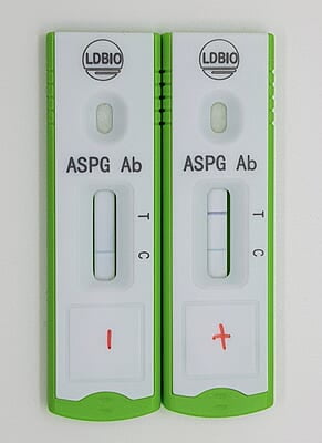 ASPERGILLUS ICT IgG-IgM