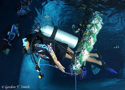 Underwater Christmas Grotto