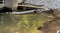 Dock Shock