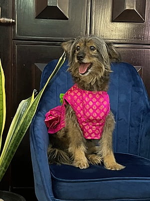 PINK NEON DRESS