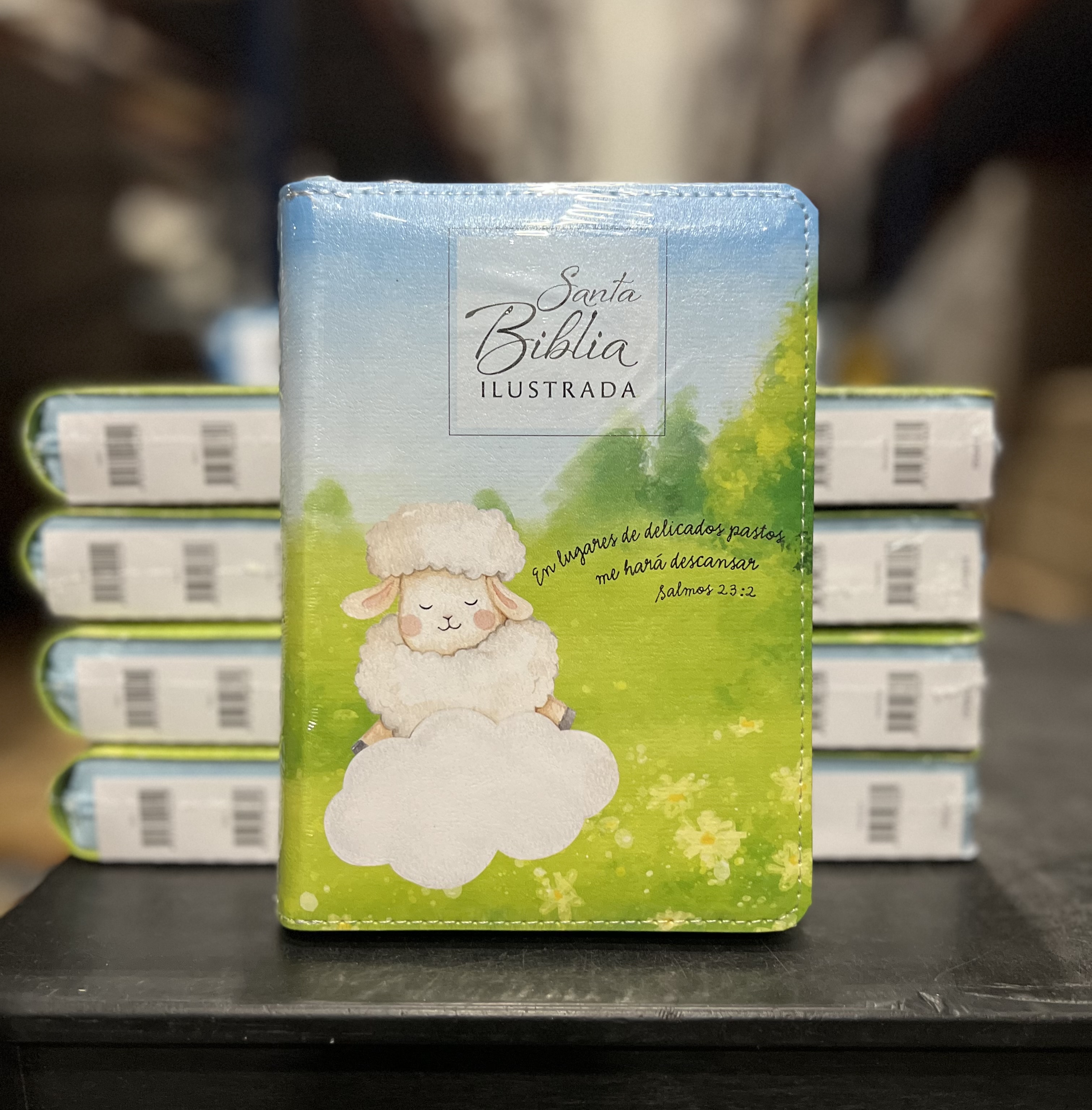 Santa Biblia para Niños / / Portada de Ovejas / Compacta/ Imitación Piel / Letra grande de 10 - Caja de 28 unidades Santa Biblia para Niños / / Portada de Ovejas / Compacta/ Imitación Piel / Letra grande de 10 - Caja de 28 unidades