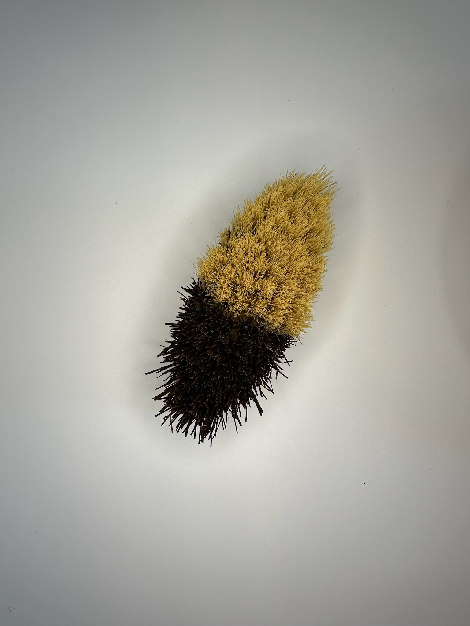 Bamboo Vegetable Brush Bamboo Vegetable Brush