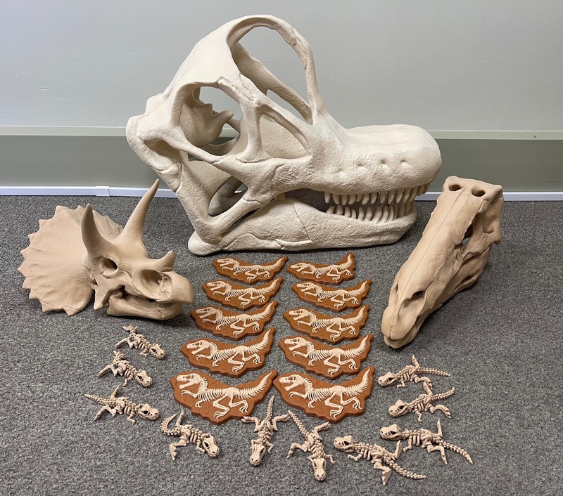 Dinosaur Skulls and Fossil Box Set Dinosaur Skulls and Fossil Box Set