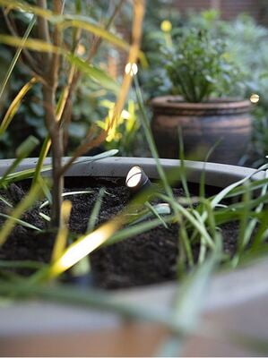 in-lite Mini Scope in-lite Mini Scope