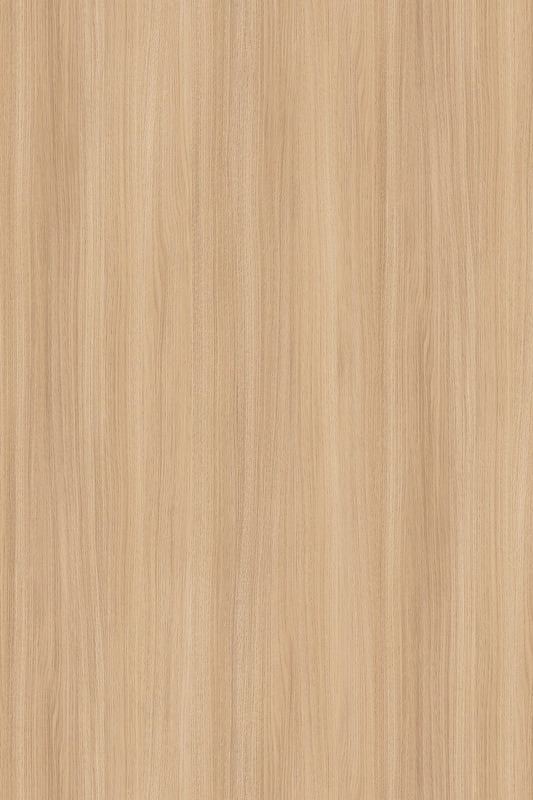 SAND BARBERA OAK