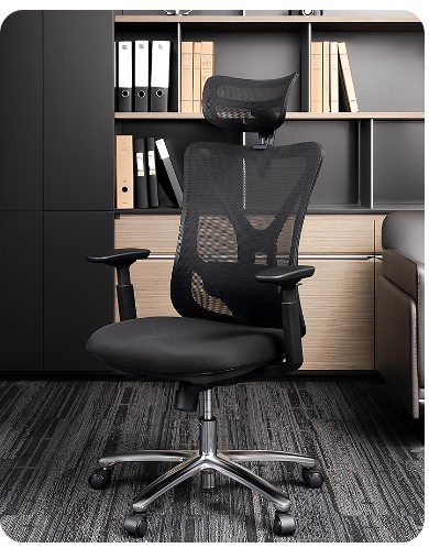 DELI KF230 EXE.H/BACK ERGONOMIC MESH CHAIR DELI KF230 EXE.H/BACK ERGONOMIC MESH CHAIR