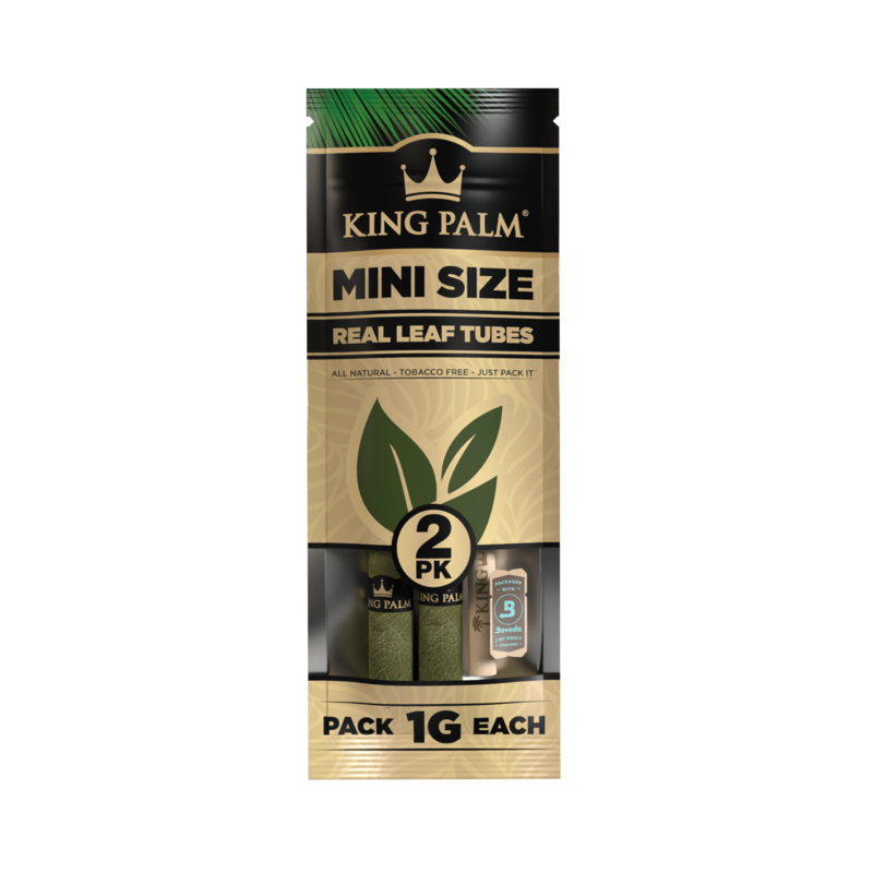 KING PALM MINI KING PALM MINI