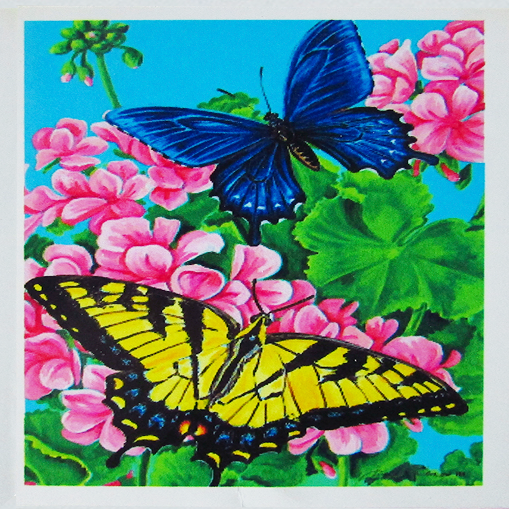 Kit Dibujo Diamante GC77762 Mariposa Unidad