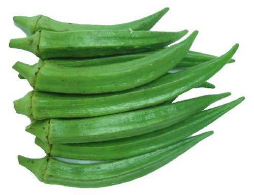 LADIES FINGER LONG GREEN