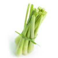 Citronnelle Citronnelle