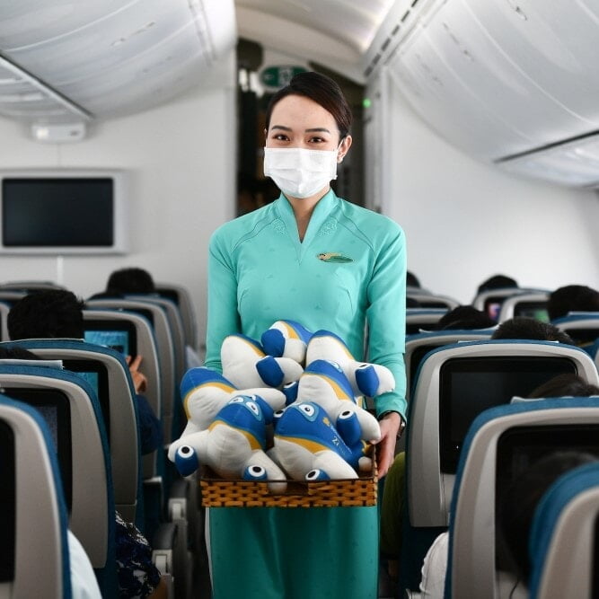 Linh Vật Máy Bay Vietnam Airlines
