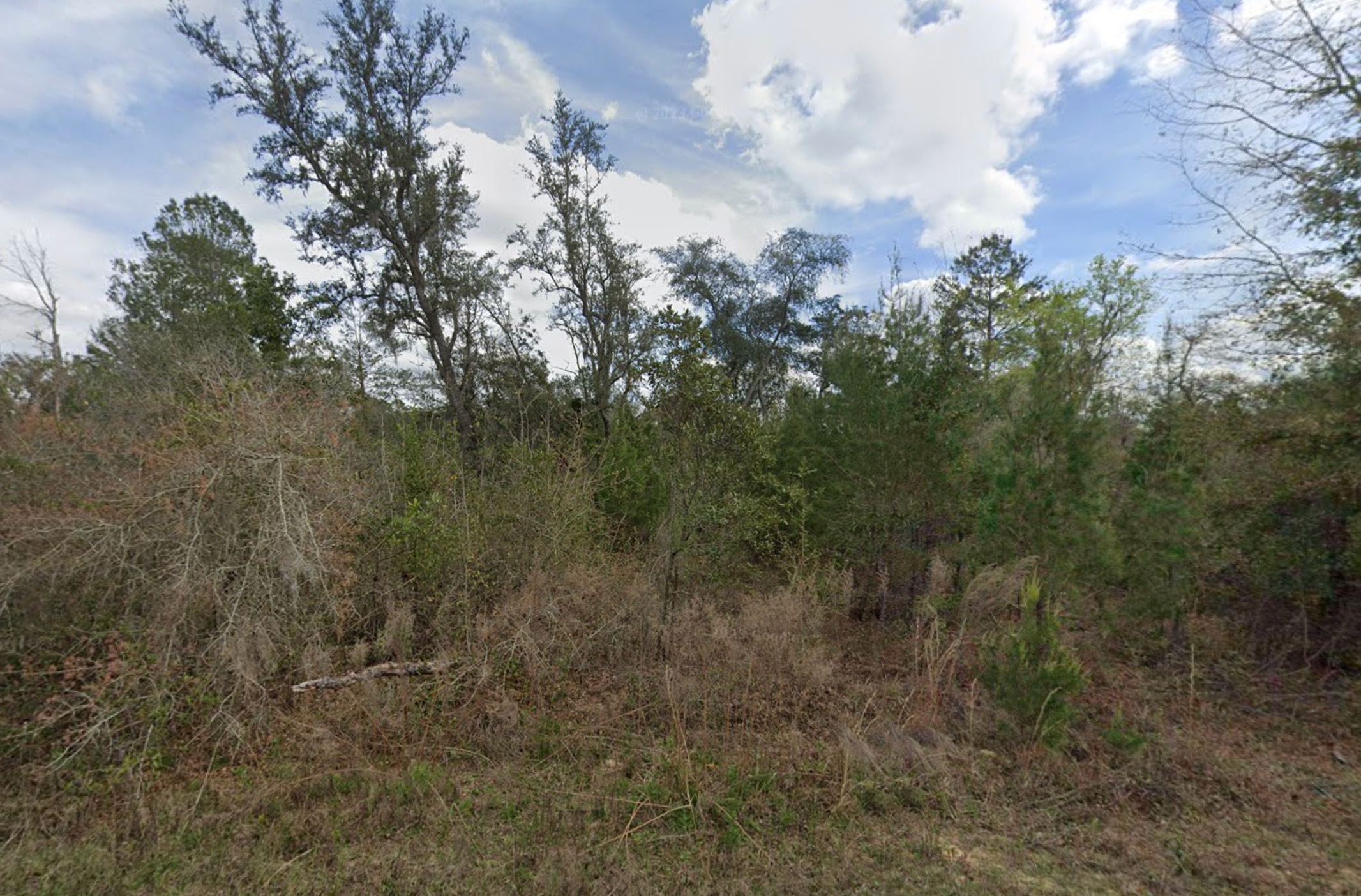Unnamed Theresa Avenue - Affordable Vacant Lot in Interlachen Unnamed Theresa Avenue - Affordable Vacant Lot in Interlachen