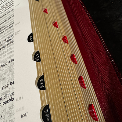 La Biblia Latinoamérica Letra Grande, Imitación piel, cierre-cremallera / rojo La Biblia Latinoamérica Letra Grande, Imitación piel, cierre-cremallera / rojo